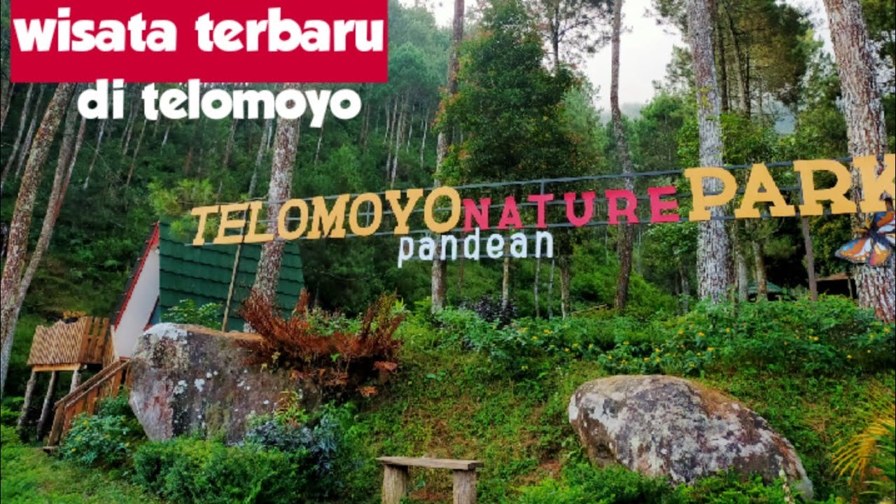 Telomoyo Nature Park: Surga Tersembunyi di Lereng Gunung Telomoyo